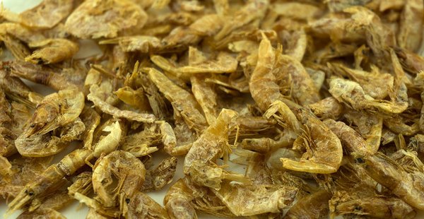 Getrocknete Süsswassershrimps - 25 g - das tierische Eiweiß, als Snack und Ergänzung