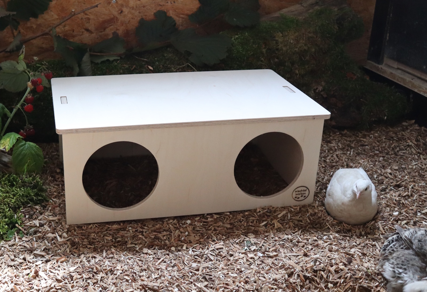 Das Foto zeigt ein großes Wachtelhaus im Einsatz im Stall