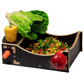 Das Foto zeigt eine mit Salat, Karotte, Apfel und Mais bestückte Snackschale für Wachteln