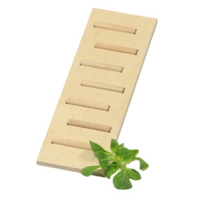 Das Foto zeigt eine Hamsterleiter aus Holz