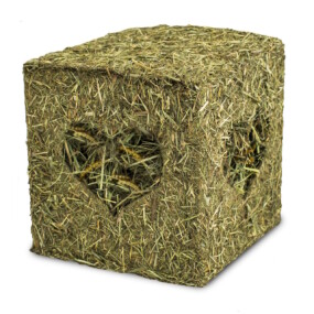 Das Foto zeigt einen Heuwürfel mit Mehlwürmern