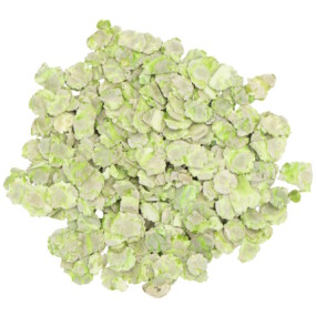 Das Foto zeigt getrocknete Erbsenflocken