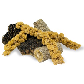 Das Foto zeigt Knabberstücke von JR Farm