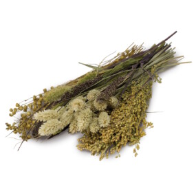 Das Foto zeigt ein Knabebr Potpurri für Hamster aus verschiedenen Saaten