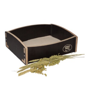 Das Foto zeigt ein Sandbad für Zwergwachteln befüllt mit Sand