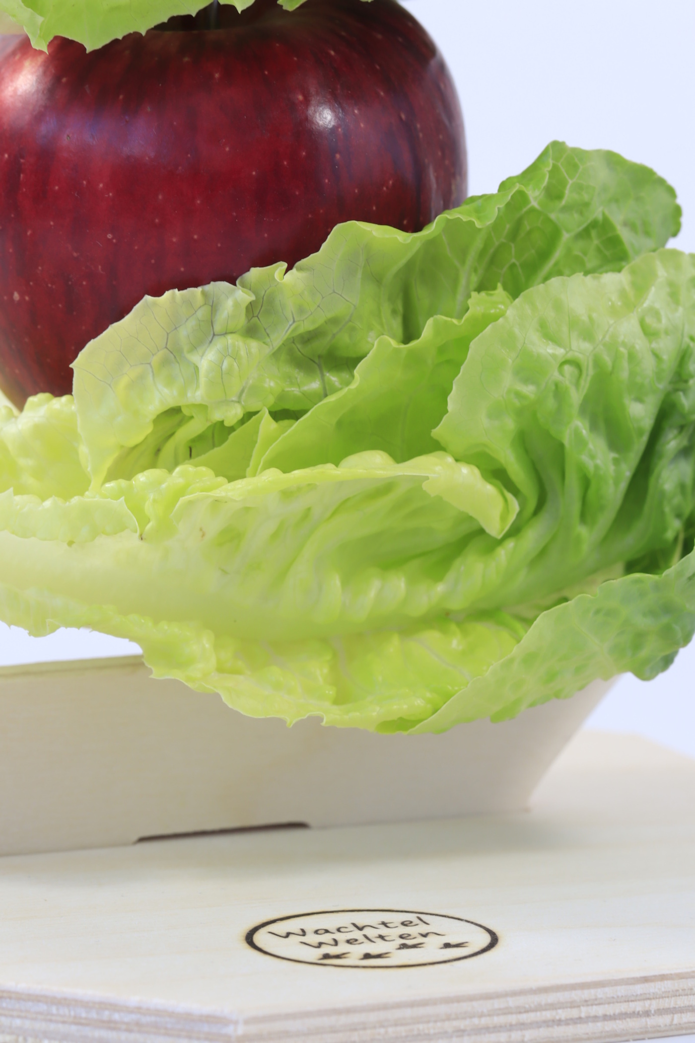 Das Foto zeigt den Fuß vom Snackständer in Nahaufnahme