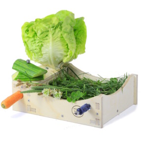 Das Foto zeigt eine Snackschale für Wachteln, die mit Gemüse und Gras bestückt ist