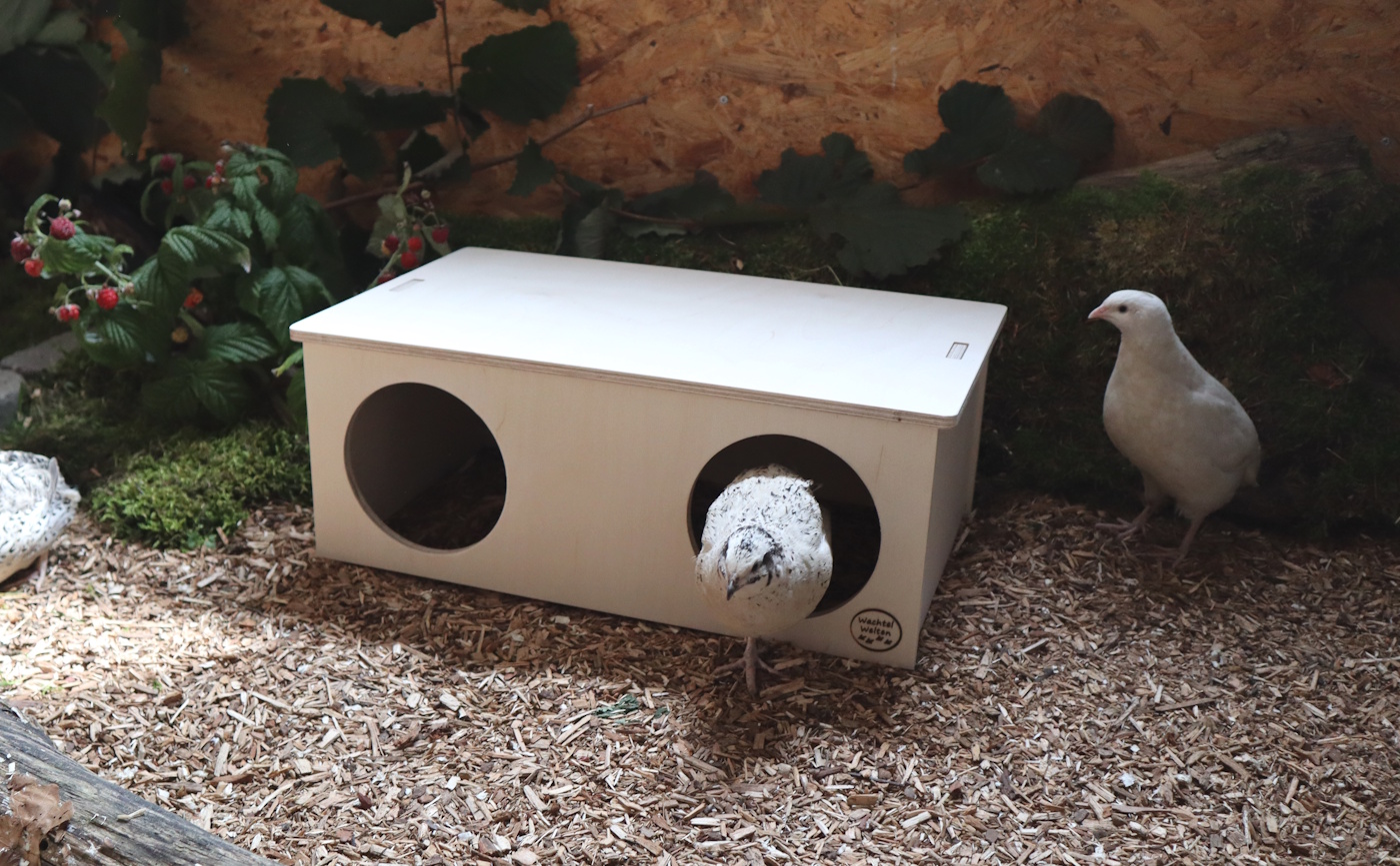 Das Foto zeigt ein Wachtelhaus mit zwei runden Eingängen im Wachtelgehege