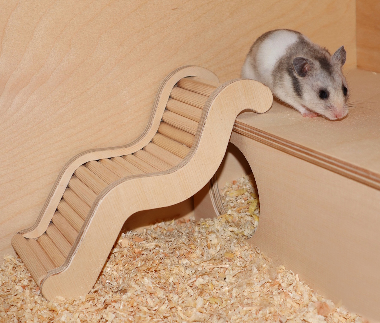 Das Foto zeigt einen Hamster neben der Würmli-Leiter