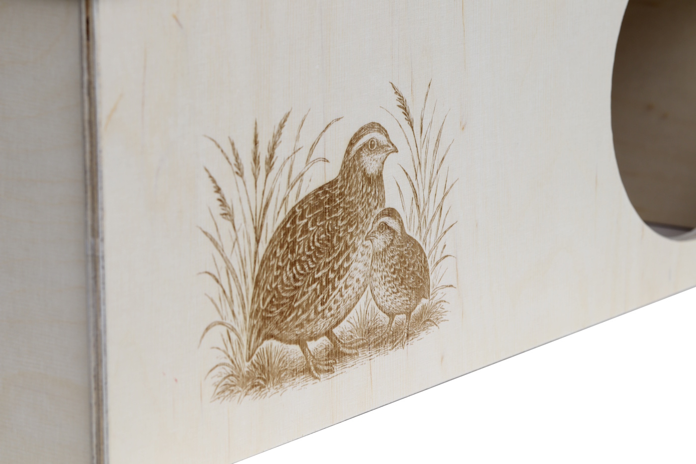 Das Foto zeigt eine Gravur mit einer Wachtelmama und einem Wachtelkind