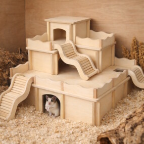XXL-Hamsterhäuser