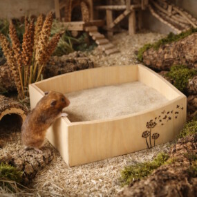 Sandbäder und Badehäuser