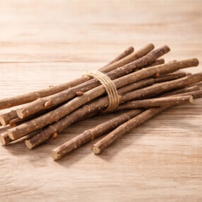 Das Foto zeigt 10 Haselnusszweige für Nager