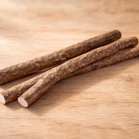 Das Foto zeigt 3 Haselnussäste für Nager