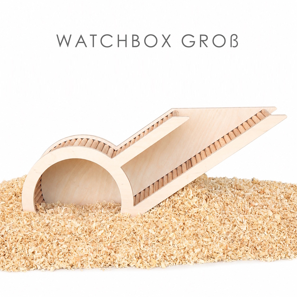 Watchbox gross - Eingang rechts